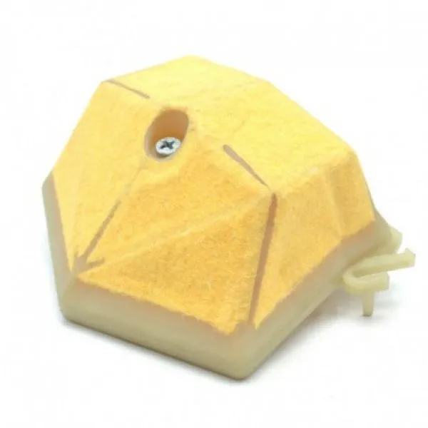 Snabb frakt Luftfilter 5038981-01