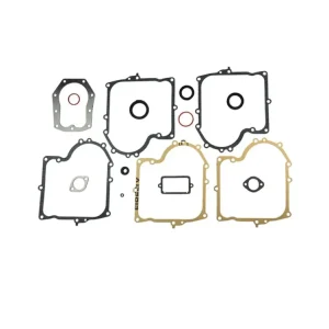 Fynd Packningssats Briggs & Stratton 10-13hk, 494241