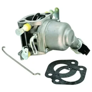 risnedsättning Förgasare Briggs & Stratton 597126