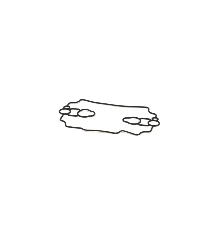 Kundfavorit Flottörhuspackning 693711