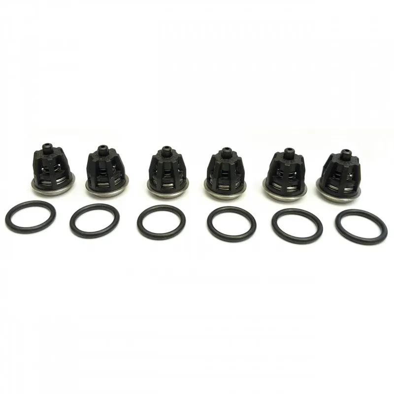 Kit 1 ventilsats interpump Premium