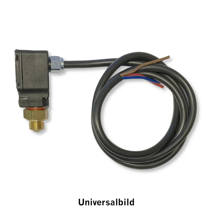 Beställ nu Pressostat 1/8M micro IPC