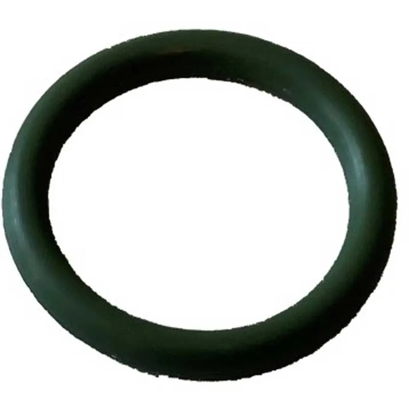 Endast idag O-RING 10,82x1,78 Viton EASYWASH365