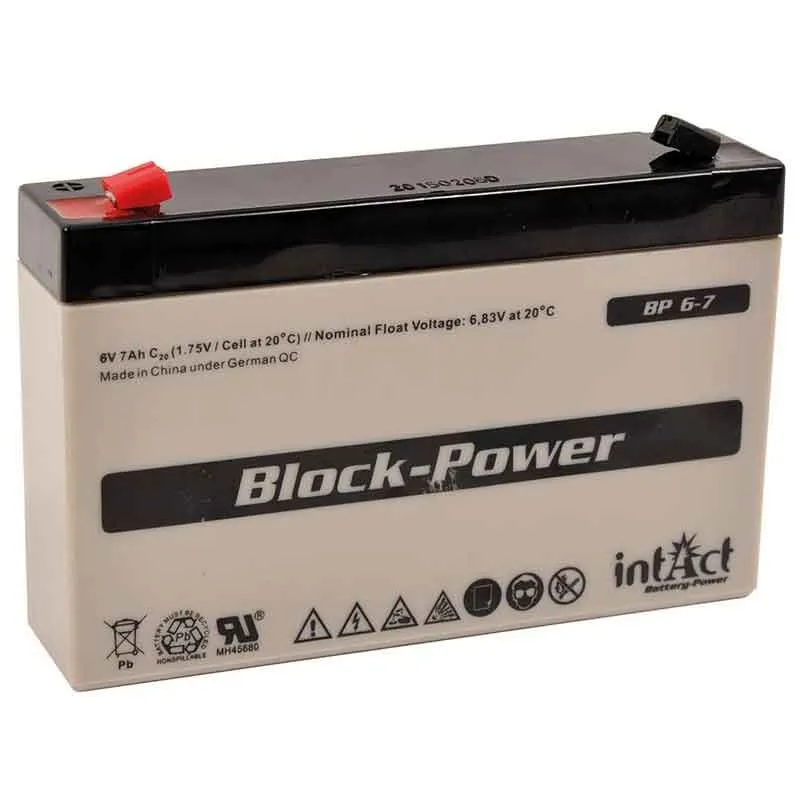 Begränsad tid Batteri 12V SLA (25Ah) Gallagher