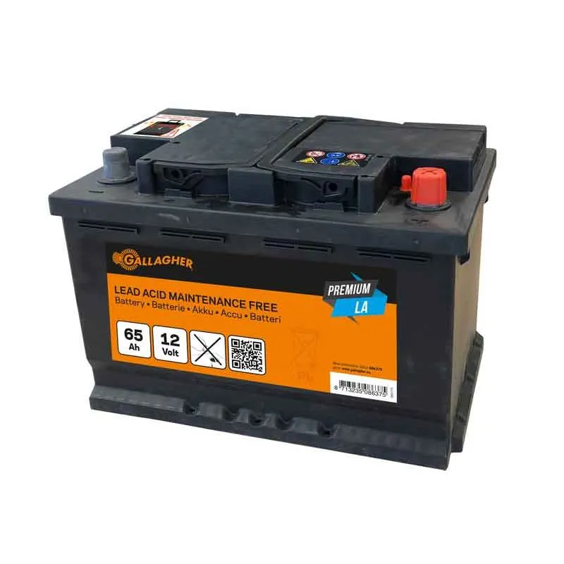 Kundfavorit Gallagher Premium Blybatteri 12V/65Ah - 242x175x190