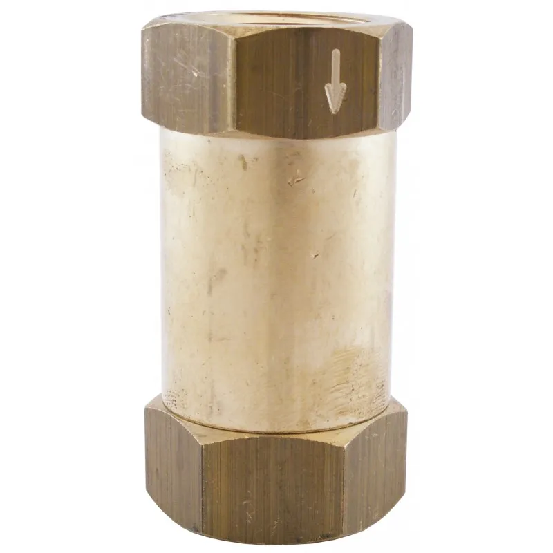 Endast denna vecka Backventil 1/2" Inv Rak