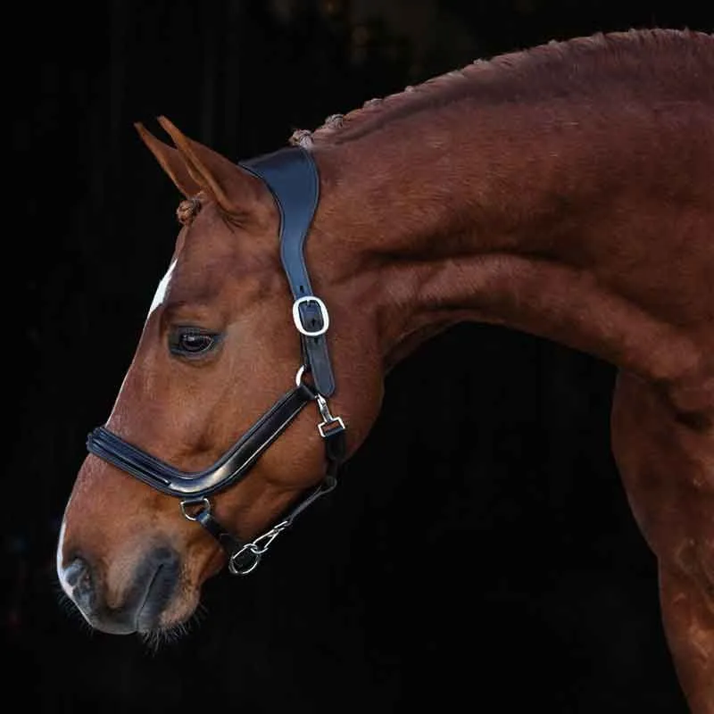 Lädergrimma Hansbo Sport LUXOR Brun Hansbo Sport I lager