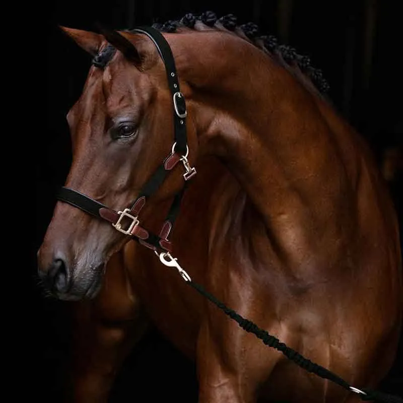 Grimma Hansbo Sport ENIGMA svart Fynd
